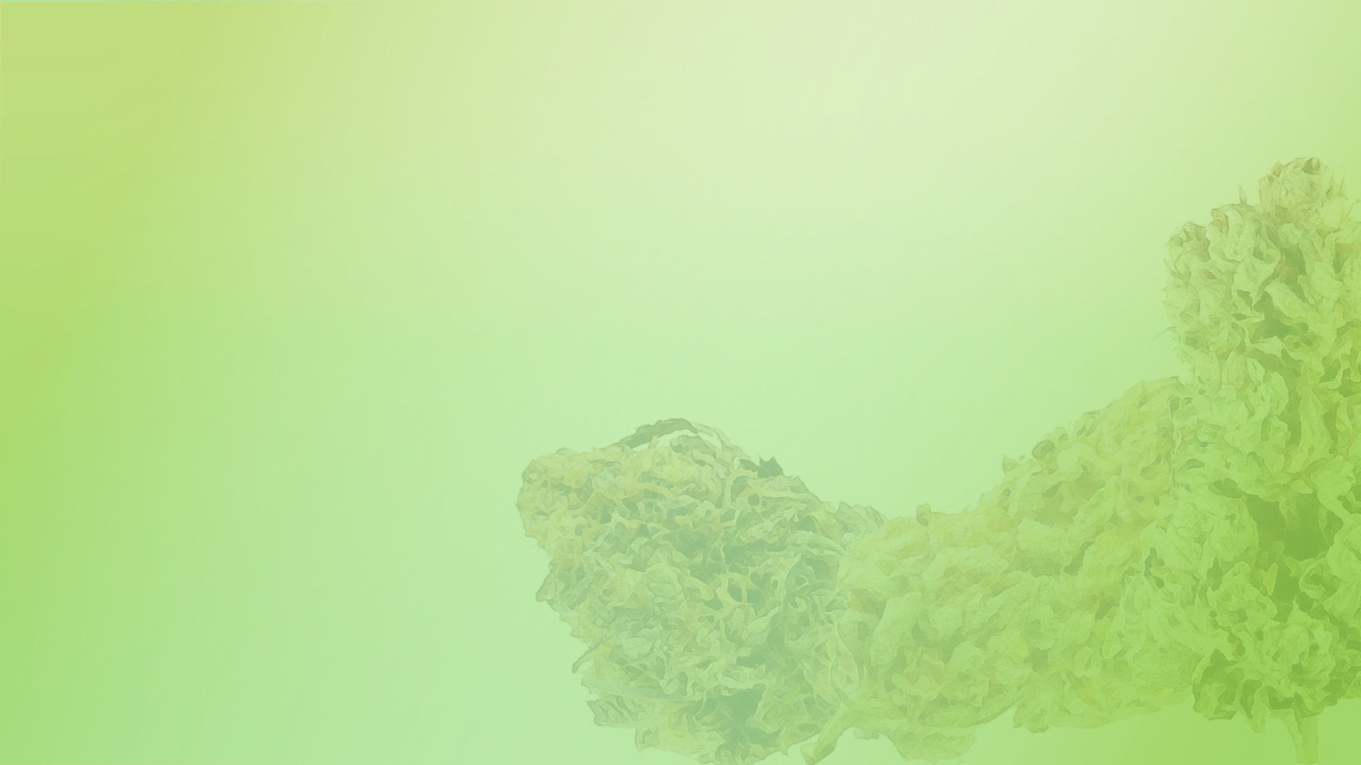 All about Alien Rock Candy Strain