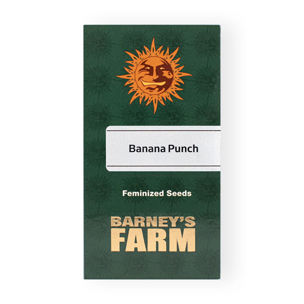 Banana Punch Seeds