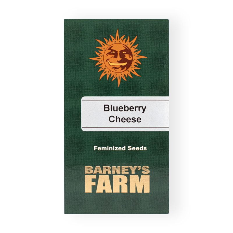 Blue Cheese Seeds