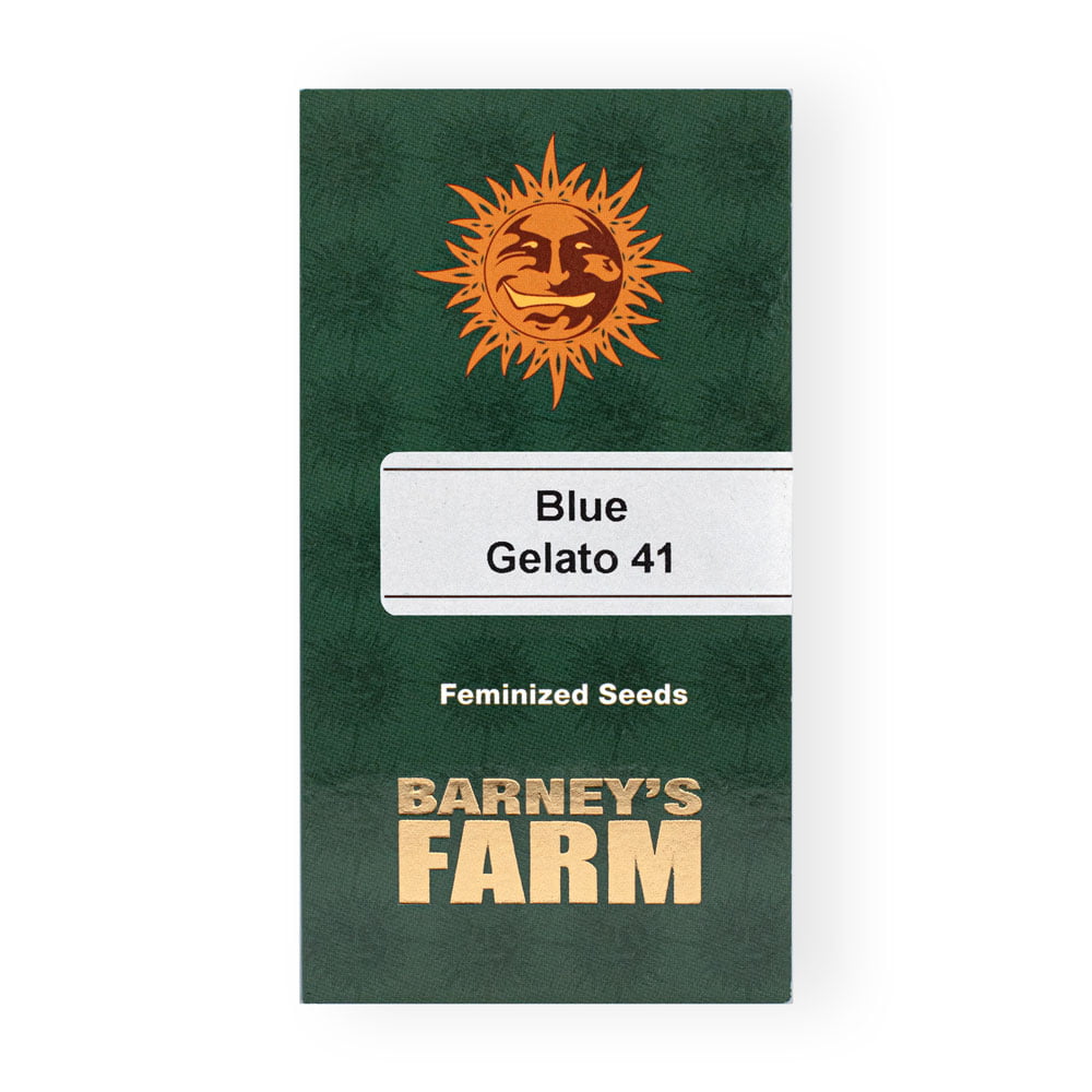 Blue Gelato 41 Seeds