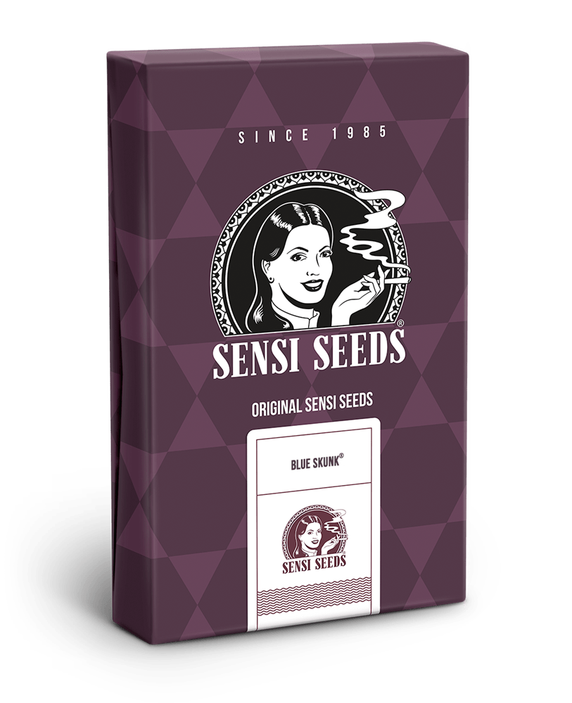 Blue Skunk Feminized Seeds by Sensi Seeds
