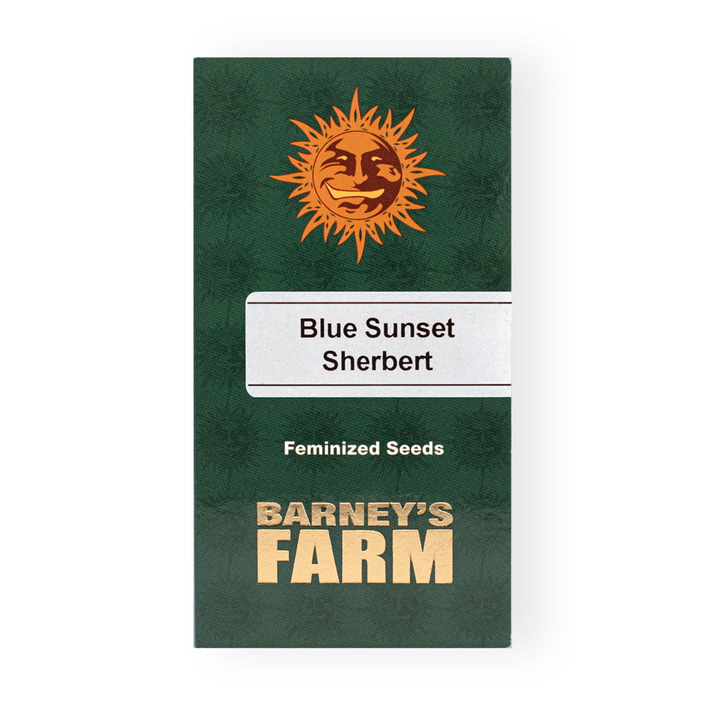 Blue Sunset Sherbert Seeds