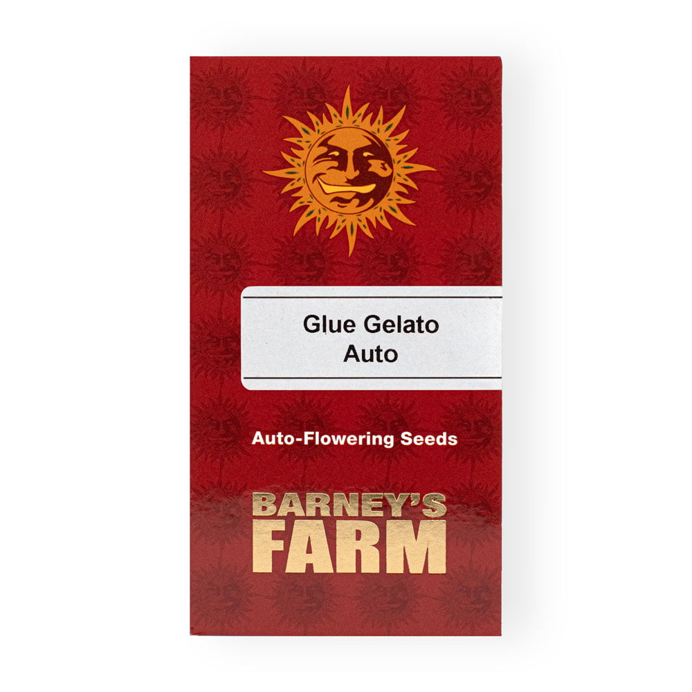 Glue Gelato Auto Seeds