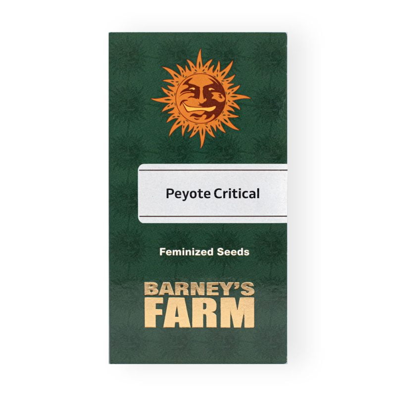Peyote Critical Seeds