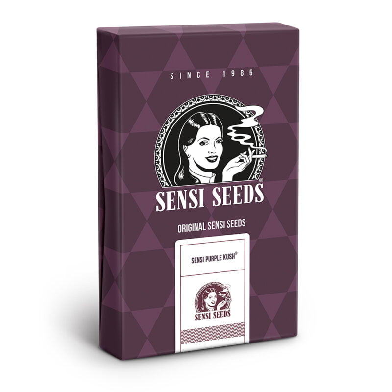 Sensi Purple Kush Seeds