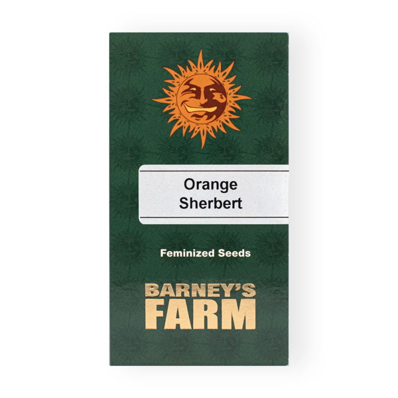 Orange Sherbert Seeds